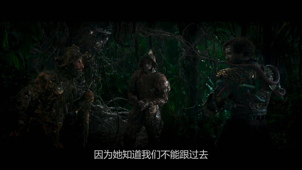 [2021][欧美][动作][纯净版][BT下载][丛林奇航][BD-MKV/11.3GB][中字][1080P][巨石强森2021动作奇幻巨制]