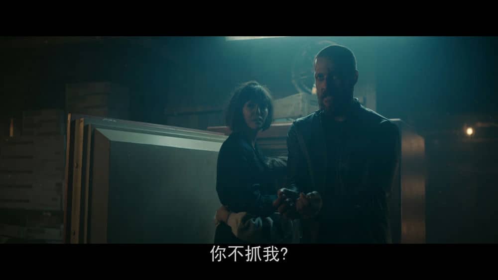 [2019][欧美][动作][纯净版][BT下载][幸运日][BD-mkv/7.14GB][中字][1080P][妮娜杜波夫2019动作犯罪惊悚]