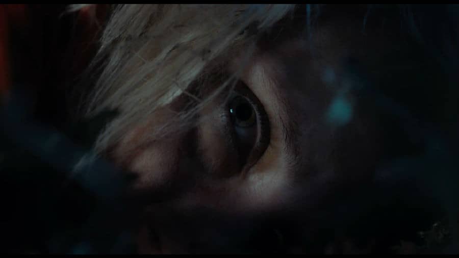[2020][欧美][惊悚][BT下载][狩猎 Hunted][HD-MKV/1.92G][英语中字][1080P]