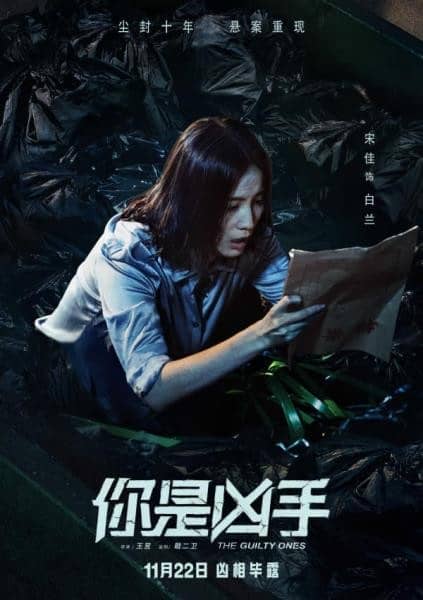 [2019][大陆][犯罪][纯净版][BT下载][你是凶手/迷局英雄][HD/MP4/2.91G][2160P][国语/中英双文字幕]