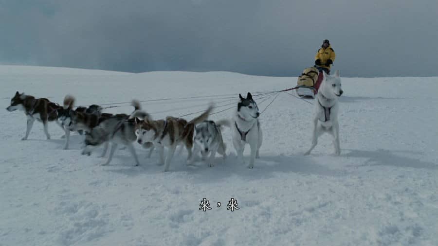 [2006][欧美][剧情][BT下载][南极大冒险 Eight Below][HD-MKV/2.66G][英语中字][1080P]