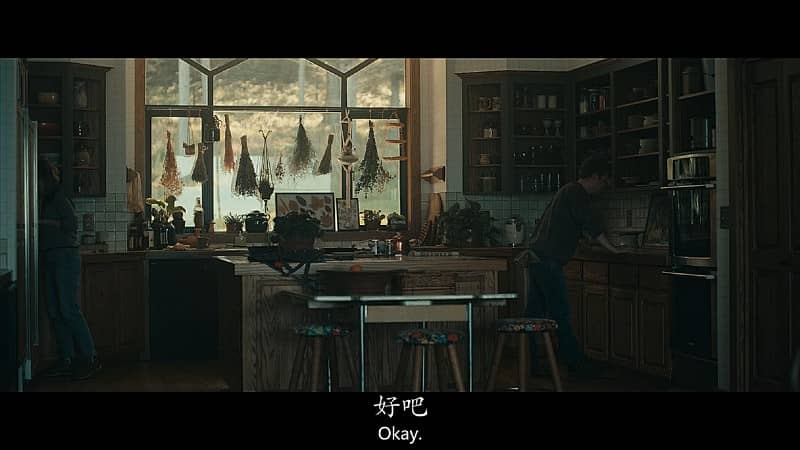 [2020][欧美][惊悚][BT/电驴/网盘下载][租房惊魂][HD-MP4/2.31GB][中英双字][1080P]