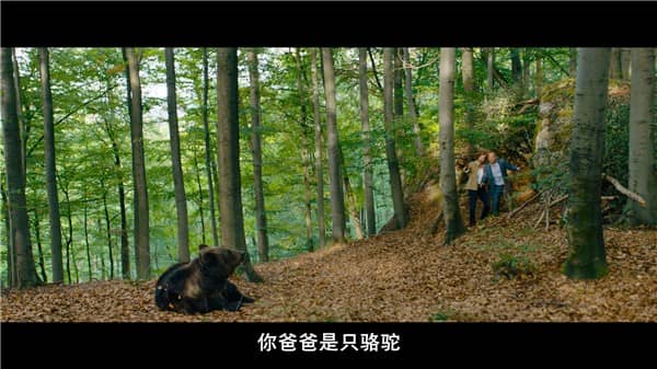 [2020][欧美][喜剧][BT下载/网盘下载][爱在柏林狂飙][HD-MP4/3.2GB][英语中文字幕][1080P]