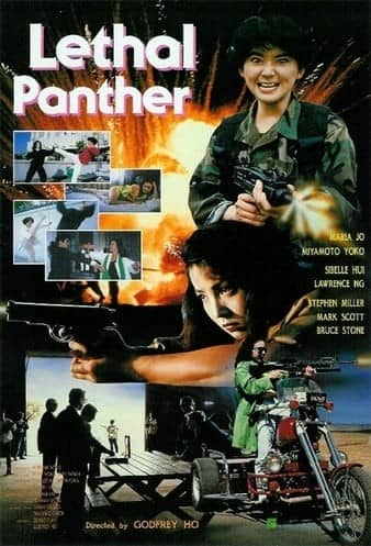 [香港][动作][BT下载][惊天龙虎豹.Lethal.Panther.1990][BluRay-mkv/2.02GB][粤语简中][1080p]