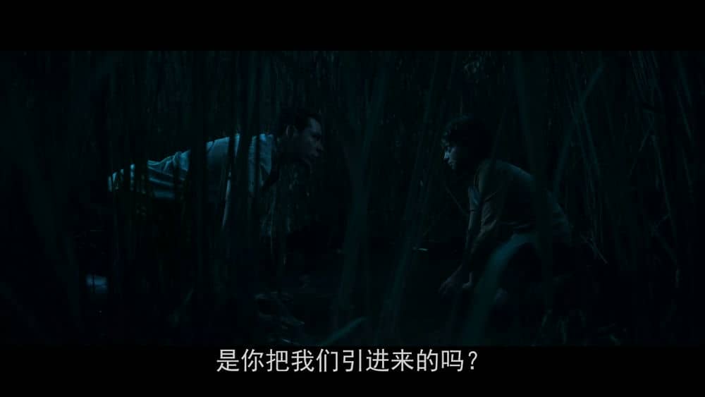 [2019][欧美][惊悚][BT下载][高草丛中][WebDL-720p.MP4/1.55GB][中字][加2019最新时空交错惊悚好片]