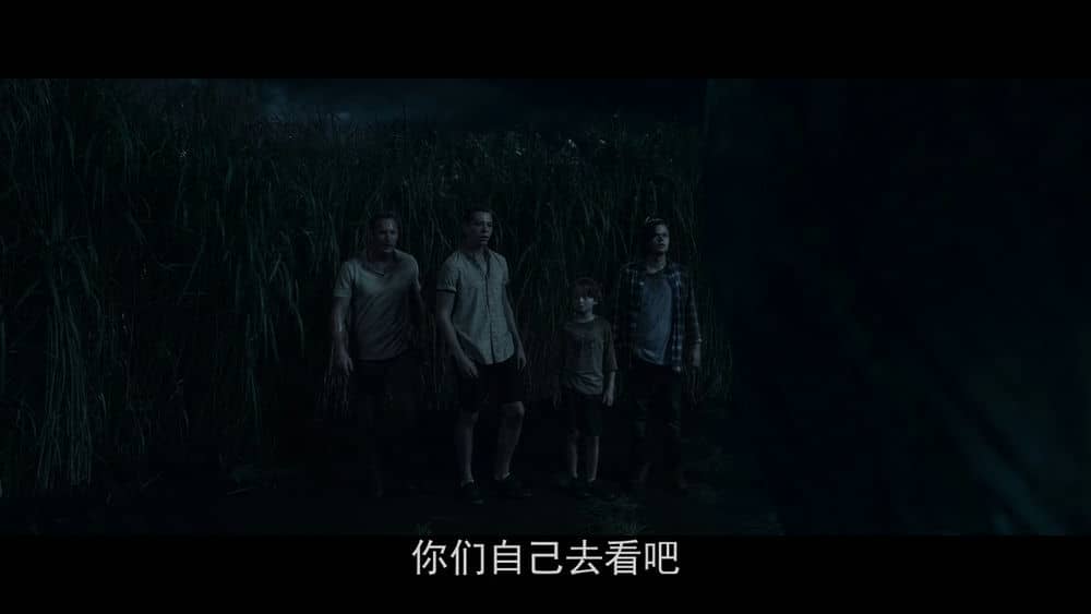 [2019][欧美][惊悚][BT下载][高草丛中][WebDL-720p.MP4/1.55GB][中字][加2019最新时空交错惊悚好片]