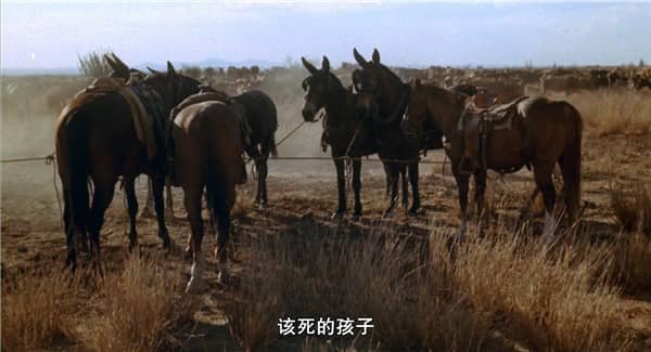 [欧美][犯罪][BT下载][牛仔路漫漫 The Culpepper Cattle Co.][BD-MP4/3.8GB][原声英语中字][1080p]西部高分冷门