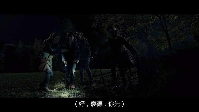 [2019][欧美][恐怖][BT/网盘下载][死寂逃亡][HD-MP4/2.21GB][英语中字][1080P高清版]