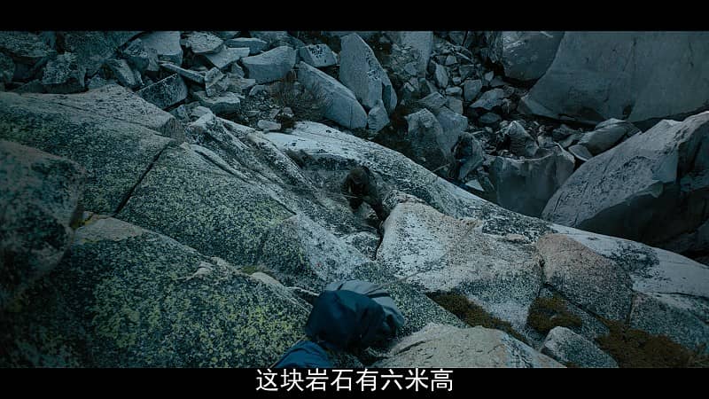 [2019][欧美][动作][BT/电驴/网盘下载][三方国界][HD-MP4/2.75GB][英语中字][1080P高清版]