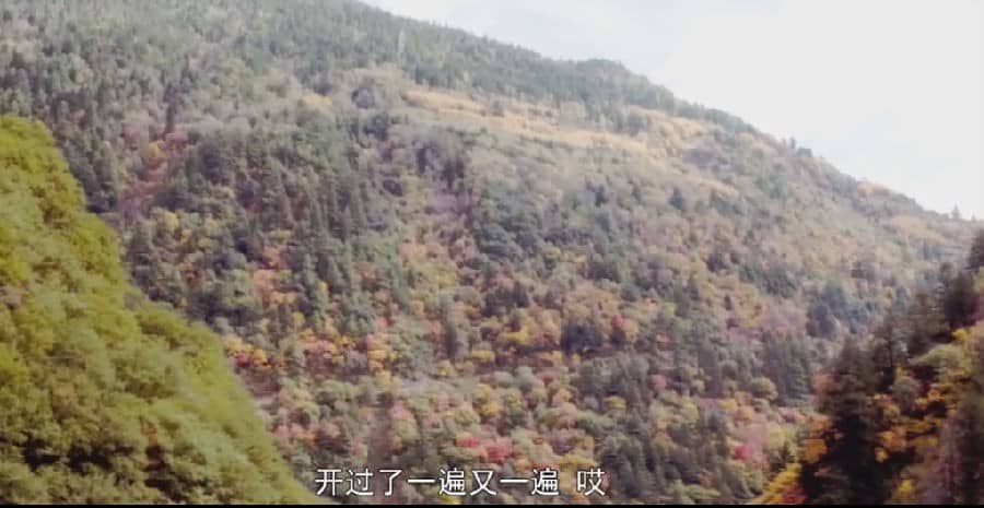 [2019][大陆][科幻][BT下载][零八三七][HD-MP4/0.81G][国语中字][720P][国产最新科幻人工智能大片]