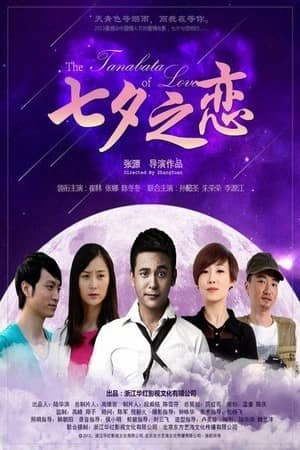 [2013][大陆][爱情][BT下载][七夕之恋][HD-MKV/2G][国语中字][1080P]