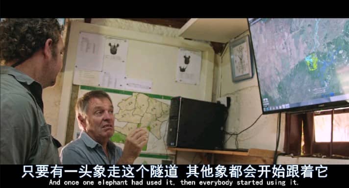 [2016][欧美][纪录][BT下载][象牙游戏/象牙的游戏][WEBRip-MP4/3.46GB][中英双字][1080P][高分纪录片]