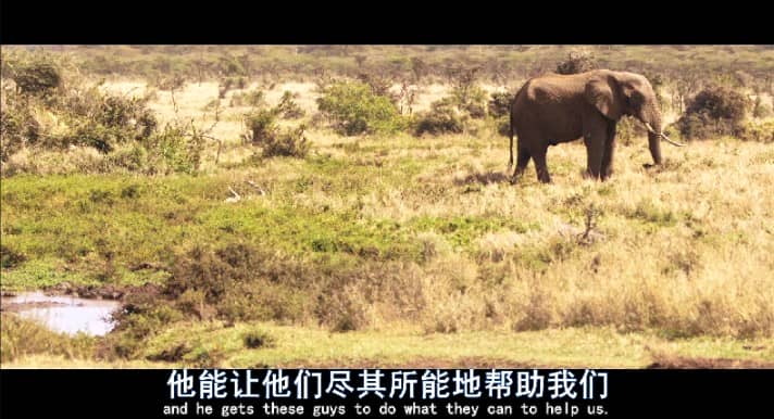 [2016][欧美][纪录][BT下载][象牙游戏/象牙的游戏][WEBRip-MP4/3.46GB][中英双字][1080P][高分纪录片]