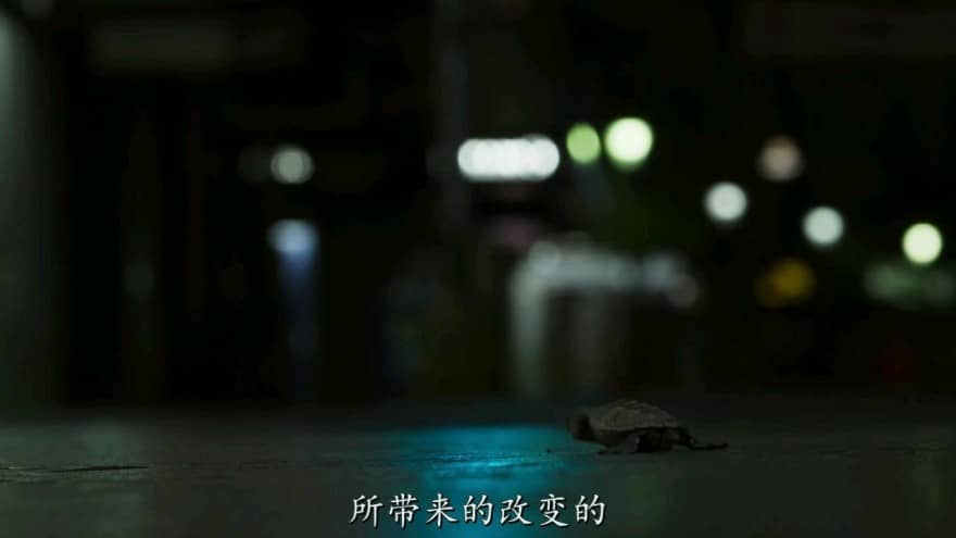 [2016][欧美][纪录][BT下载][地球脉动/地球无限][第二季][第6集][中英字幕][720P][1.30GB][MP4D]