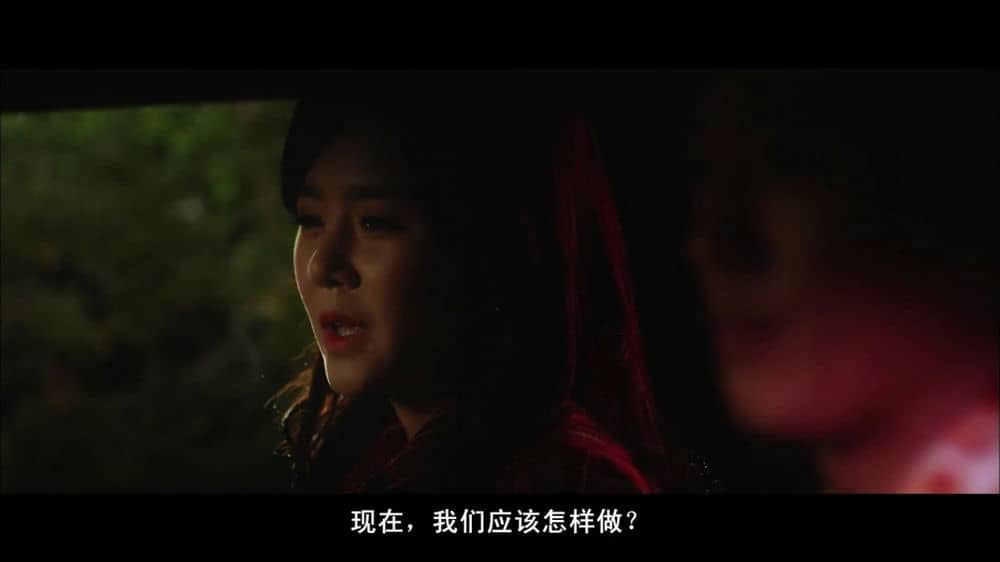 [2015][韩国][动作][江南1970/江南黑夜/江南布鲁斯][HD-MP4/2.04G][外挂简中字幕][720P]