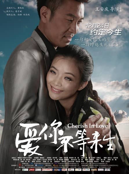 [2014][大陆][爱情][爱你不等来生/梅花][HD-RMVB/953MB][国语中英双字][高清720P版]