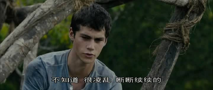 [2014][欧美][科幻][移动迷宫/迷宫行者][DVD-RMVB/657MB][国英语中字]
