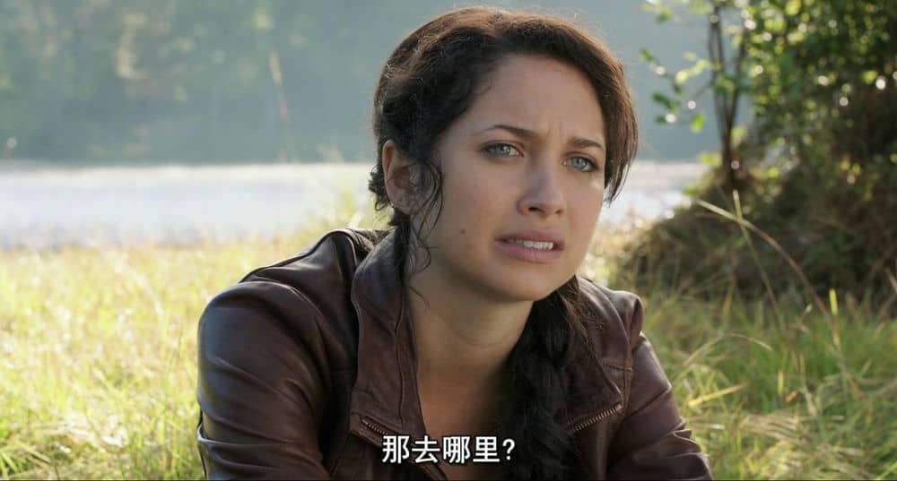 [2013][欧美][喜剧][挨饿游戏/饿死游戏/鸡饿游戏][BRRip-MKV/1.92G][英语中字]