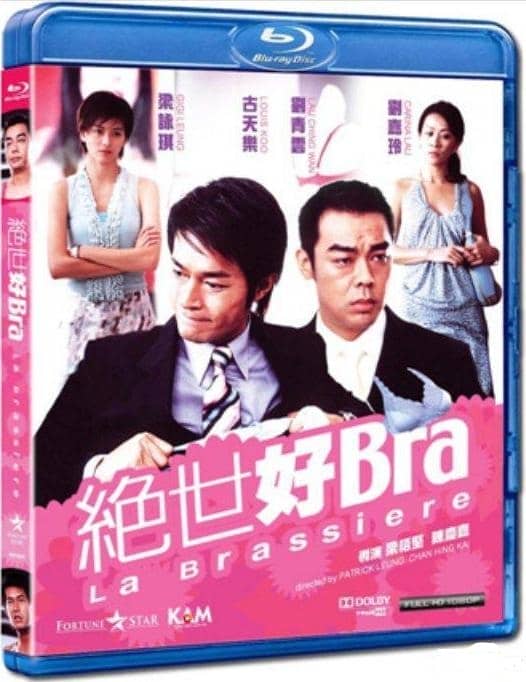 [爱情][][2001][中国][爱情/喜剧][绝世好bra][BD-RMVB/1.4G][双语/中文字幕][480P+720P]