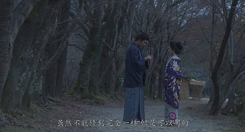 [2014][日本][剧情][BT/网盘下载][花宵道中][HD-MP4/2.60GB][日语中字][1080P]