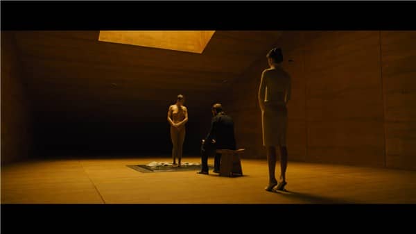 [2017][欧美][动作][BT下载/网盘下载][银翼杀手2049 Blade Runner 2049][BD-MP4/9.87GB][中英双字幕][1080P]