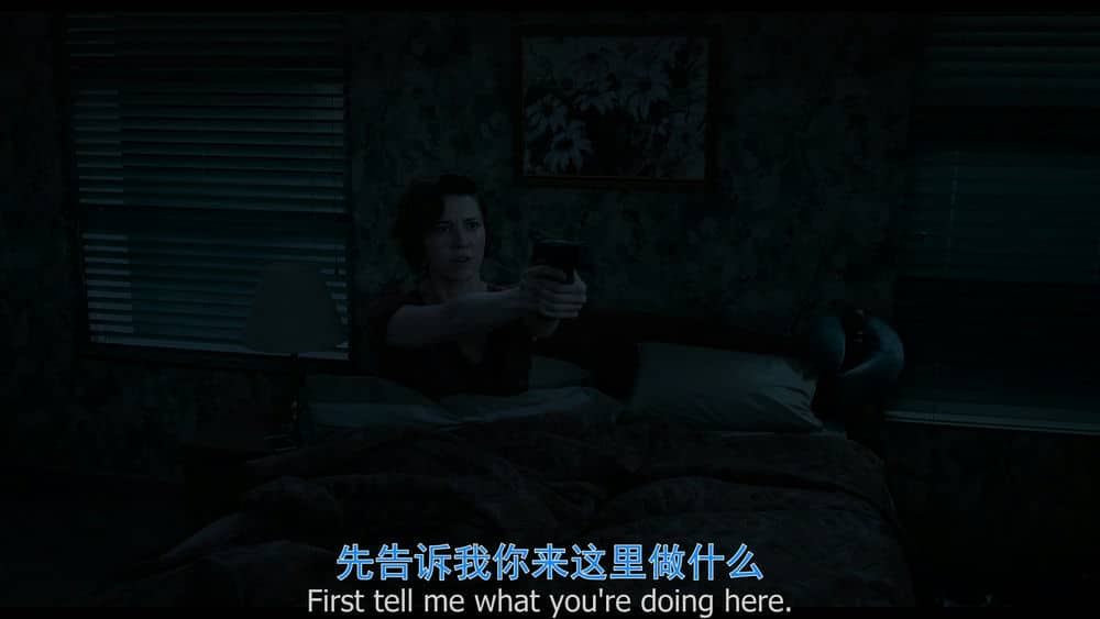 [2019][欧美][动作][纯净版][BT下载][双子杀手][BD-mkv/9.68GB][双语][1080P][李安导2019超火爆动作科幻]