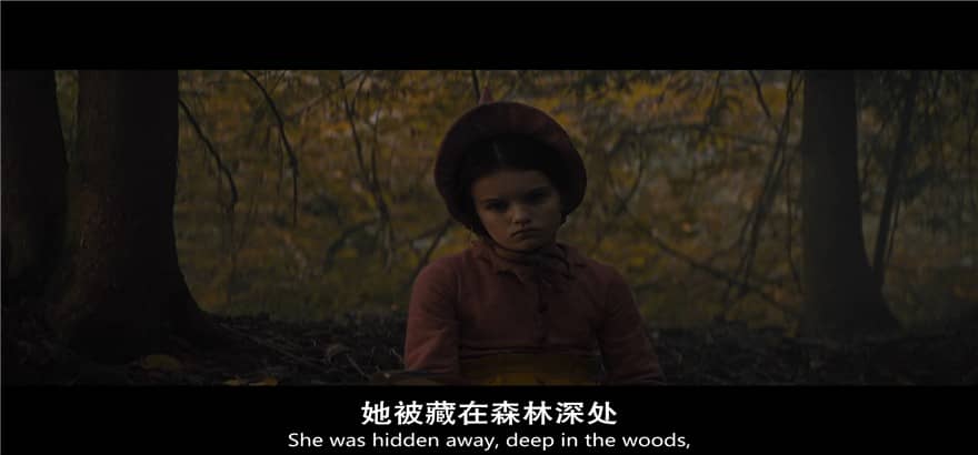 [2020][欧美][恐怖][BT下载][格蕾特和韩塞尔][HD-MKV/3.73G][英语中英双字][1080P]