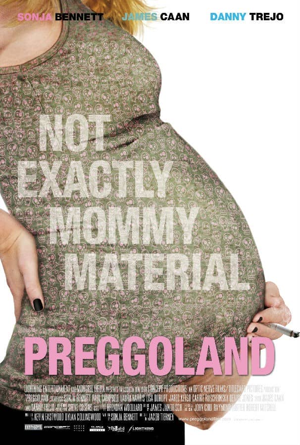 [2015][欧美][喜剧][BT下载][孕妇风波 Preggoland][HD-MKV/2.38G][英语中字][1080P]