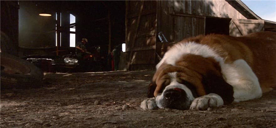 [欧美][恐怖][BT下载][狂犬惊魂 Cujo][HD-MKV/2.07G][英语中字][1080P]