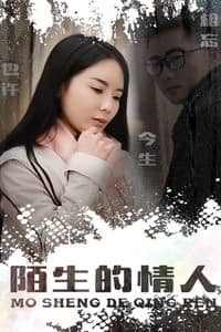 [2019][大陆][爱情][BT下载][陌生的情人][HD-MP4/0.26G][国语中字][720P][万众期待最新上映爱情大片]