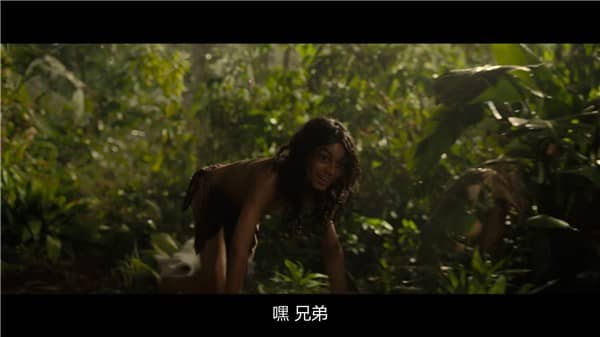 [2018][欧美][剧情][BT/网盘下载][森林之子毛克利 Mowgli: Legend of the Jungle][HD-MP4/3.1GB][英语官方中文字幕][1080P][万