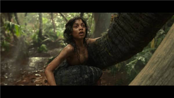 [2018][欧美][剧情][BT/网盘下载][森林之子毛克利 Mowgli: Legend of the Jungle][HD-MP4/3.1GB][英语官方中文字幕][1080P][万