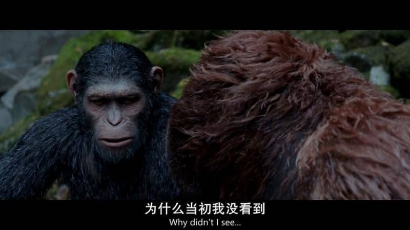 [2018][欧美][科幻][BT/网盘下载][猩球崛起3：终极之战][BD-MP4/3G/7.2G][特效中英字幕][720P/1080P]