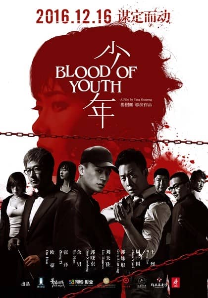 [2016][大陆][犯罪][BT下载][少年 Blood of Youth 2016][HD-MKV/2.45G][国语中字][1080P]