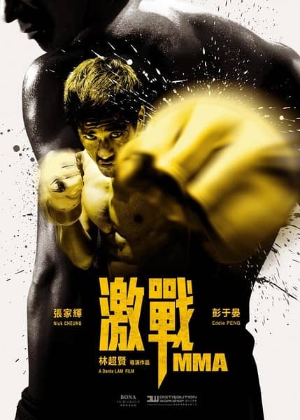 [2013][香港][动作][BT下载][激战][HD-MKV/2.71G][国语中字][1080P]