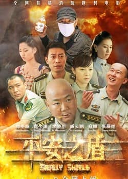 [2014][大陆][剧情][平安之盾][WEB-MKV/1.52G][国语中字][1080P]