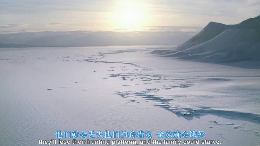 [2007][欧美][纪录][地球(电影版本)][BD-RMVB/1.50G][中英字幕][07欧美高分记录大片]