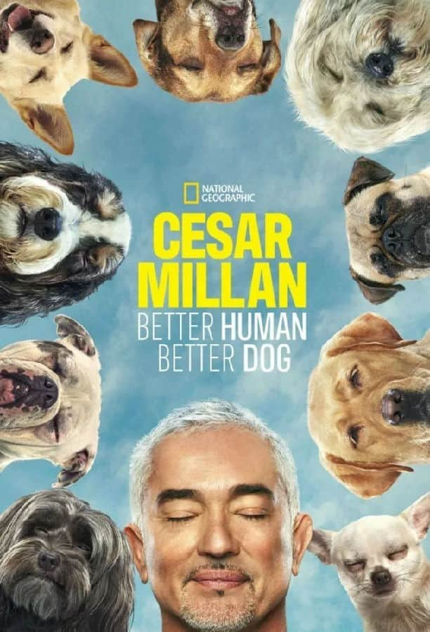 [2022][美国][真人][打包][BT下载][西泽教官狗主人训练班 Cesar Millan 第二季][全12集][英语中字][720P/1080P][Disney+