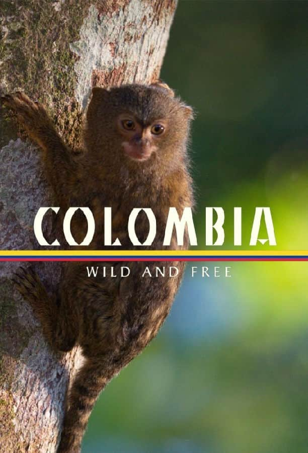 [2022][美国][纪录][打包][BT下载][哥伦比亚 - 狂野而自由 Colombia: Wild and Free 第一季][全02集][英语无字][MKV][720P/1080P][WE