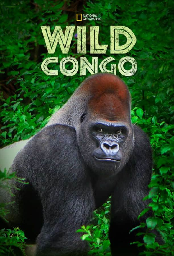 [2014][美国][纪录][全集][BT下载][狂野刚果 Wild Congo 第一季][全02集][英语无字][MKV][720P/1080P][WEB-RAW]