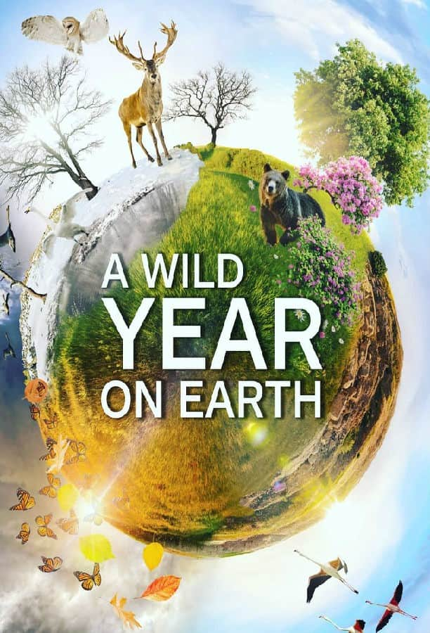 [2020][加拿大][纪录][打包][BT下载][狂野地球 A Wild Year on Earth 第一季][全06集][英语中字][MKV][720P/1080P][WEB+中文字幕]