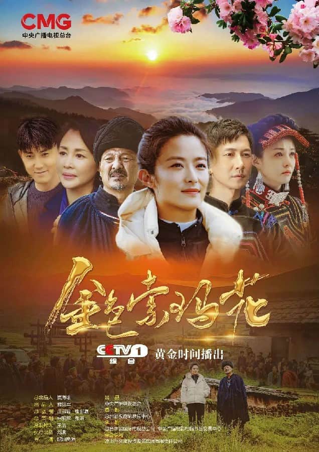 [2020][大陆][剧情][连载][BT下载][金色索玛花][连载20集][国语中字][720P][无水印]