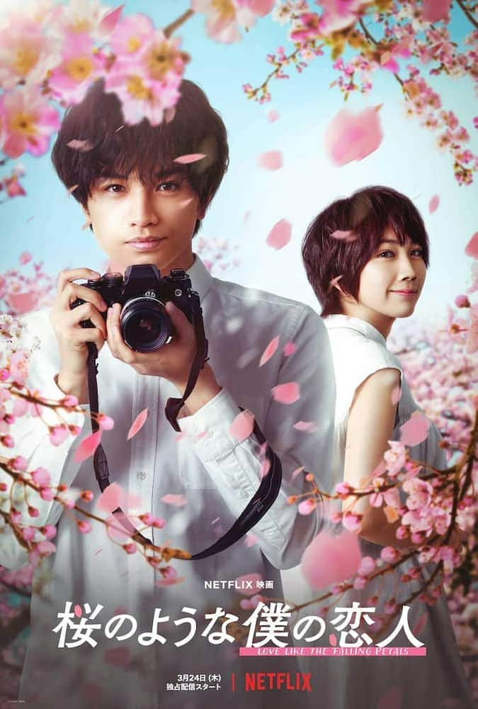 [2022][日本][剧情][WEB-1080P]我的樱花恋人.Love.Like.the.Falling.Petals.2022.DUBBED.1080p.WEBRip.x265-RARBG