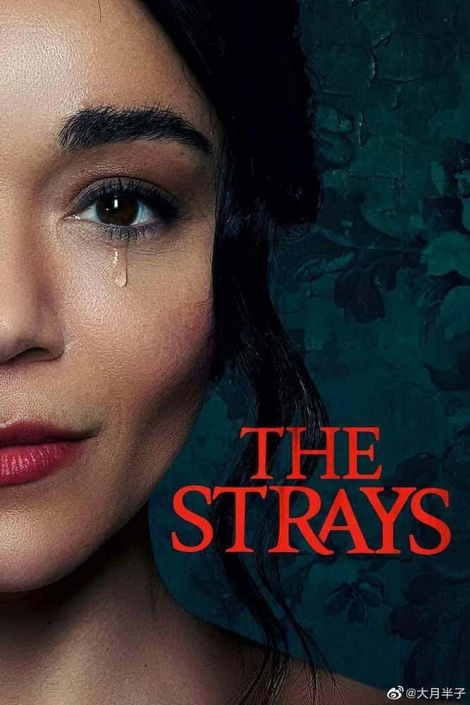 [2023][英国][剧情][WEB-1080P]流浪者.The.Strays.2023.1080p.WEB-DL.DDP5.1.Atmos.x264-AOC