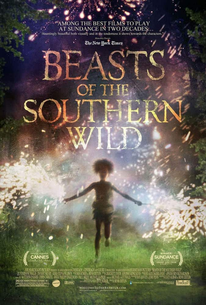 [2012][美国][剧情][其      它]南国野兽.Beasts.of.the.Southern.Wild.2012.2160p-up.BRRip.x265.Flac-bodhmall