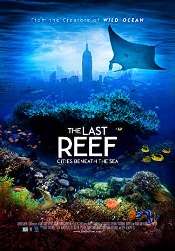 [2012][欧美][纪录][4K-Remux][BT下载]最后的珊瑚礁 2012.DOCU.2160p.BluRay.REMUX.HEVC.SDR.DTS-FGT 15GB