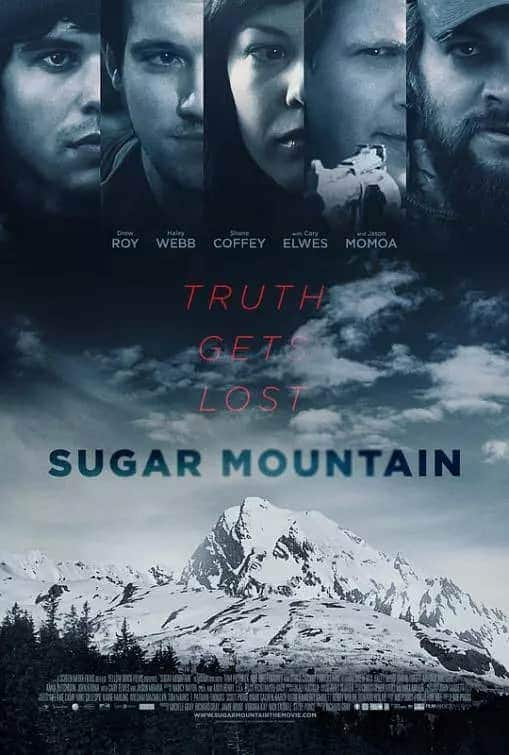 [2016][欧美][惊悚][WEB-1080P][BT下载]荒野逃生 Sugar.Mountain.2016.1080p.WEB.H264-STRiFE 5.36GB