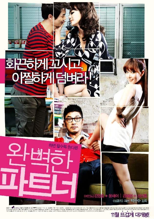 [2011][韩国][喜剧][HDTV/HDrip][BT下载]完美搭档.Perfect partner.2011.KR.HDRip.1280x720p.x264.AAC-KOOK.[韩语中字]