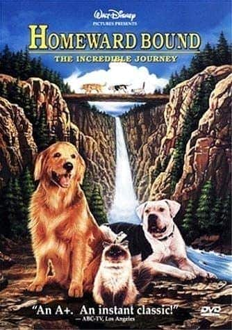 [更 早][欧美][喜剧][WEB-1080P][BT下载]看狗在说话 Homeward.Bound.1993.1080p.WEBRip.AAC2.0.x264-TrollHD 5.7GB