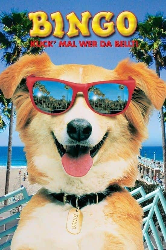 [更 早][欧美][喜剧][WEB-1080P][BT下载]灵犬宾果/神犬走天涯 Bingo.1991.1080p.WEBRip.AAC2.0.x264-TrollHD 6.1GB